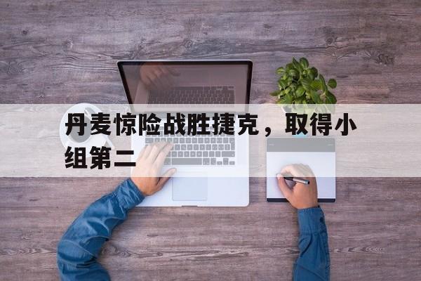 九游官网首页九游游戏中心-丹麦惊险战胜捷克，取得小组第二